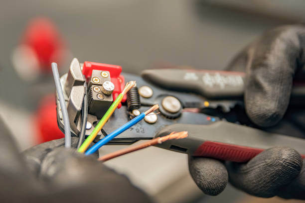 Best Electrical System Inspection  in Combee Settlement, FL