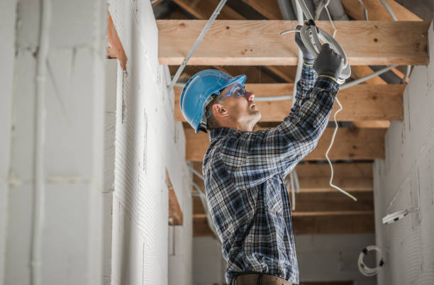 Best Best Electricians Near Me  in Combee Settlement, FL
