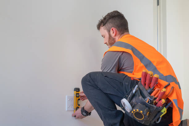 Best Ceiling Fan Installation Electrician  in Combee Settlement, FL