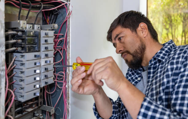 Best Home Electrical Repair  in Combee Settlement, FL